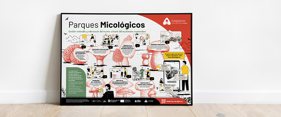 FUNGIVERSO · Proyecto micológico de Aragón